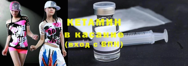 шишки Богородицк