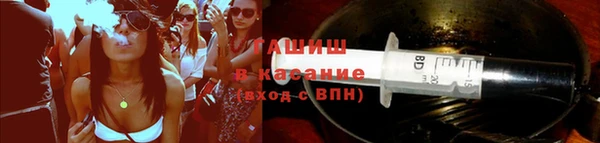 шишки Богородицк
