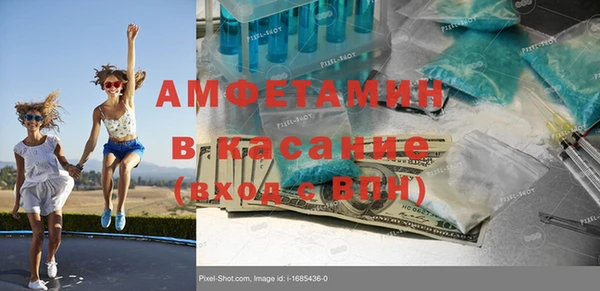 шишки Богородицк