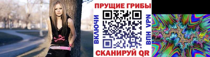 Галлюциногенные грибы MAGIC MUSHROOMS  Купить  Сосенский 